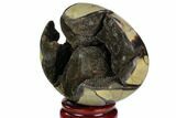 Bargain, Septarian Dragon Egg Geode - Black Crystals #123030-2